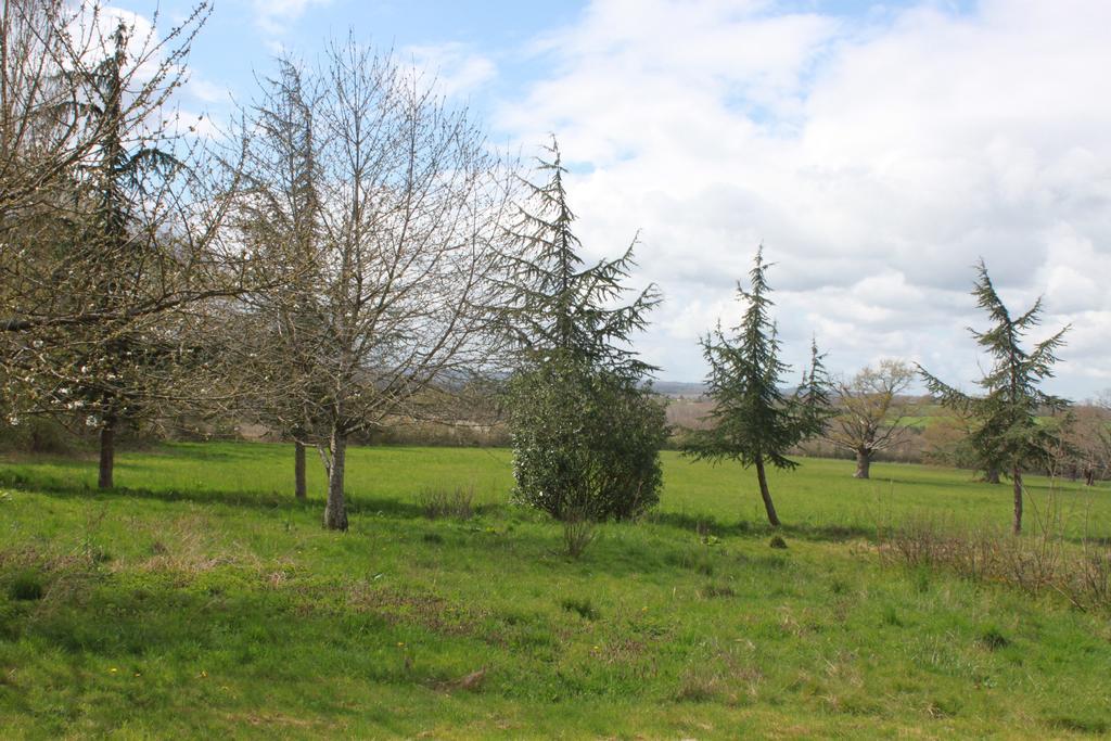 La Grande Maison De Pont Lung Ygrande Esterno foto